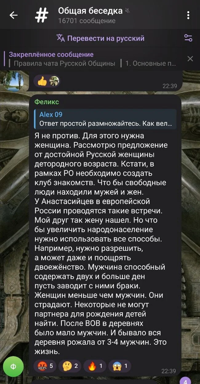 Русская община - Скриншот, Telegram, Русская Община (общественная организация), Обсуждение, Telegram каналы, Психическое расстройство, Больные, Без рейтинга, Новосибирск, Длиннопост