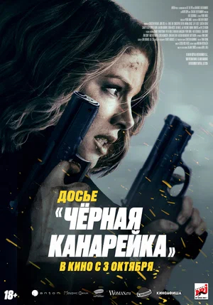 Black Canary Dossier / Canary Black (2024) - My, Movie review, I advise you to look, Боевики, Film and TV series news, New films, Kate Beckinsale, Ray Stevenson