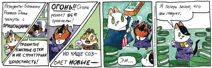 Котейкины Новости от 29.10.2024