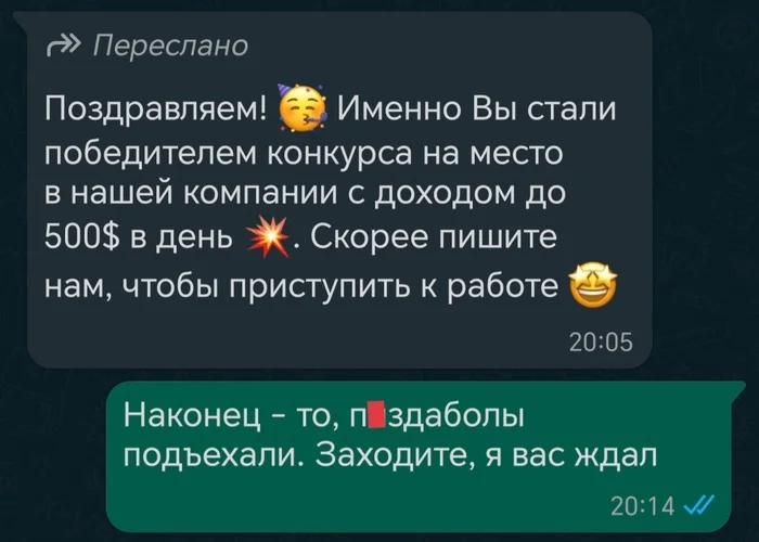 Победитель - Юмор, Работа, Скриншот, Переписка, Мат