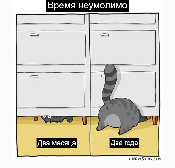 Непреложность бытия )))