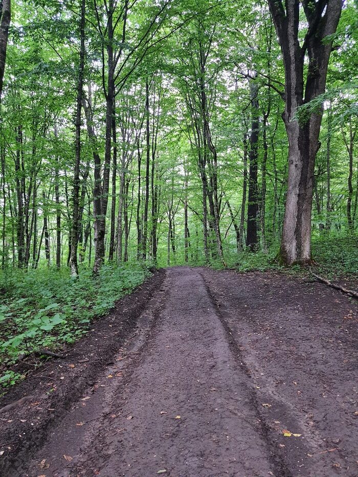    . :   |<a href="https://pikabu.ru/story/khotite_stat_ptitsey_11962871?u=https%3A%2F%2Fvk.com%2Fs.tretyakova1976&t=%D0%92%D0%9A%D0%BE%D0%BD%D1%82%D0%B0%D0%BA%D1%82%D0%B5%20%28vk.com%29&h=6b02f1b67138039d269ef10aa418aa83b8a64e14" title="https://vk.com/s.tretyakova1976" target="_blank" rel="nofollow noopener">  (vk.com)</a>