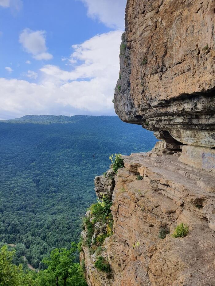  . :   | <a href="https://pikabu.ru/story/khotite_stat_ptitsey_11962871?u=https%3A%2F%2Fvk.com%2Fs.tretyakova1976&t=%D0%92%D0%9A%D0%BE%D0%BD%D1%82%D0%B0%D0%BA%D1%82%D0%B5%20%28vk.com%29&h=6b02f1b67138039d269ef10aa418aa83b8a64e14" title="https://vk.com/s.tretyakova1976" target="_blank" rel="nofollow noopener"> (vk.com)</a>