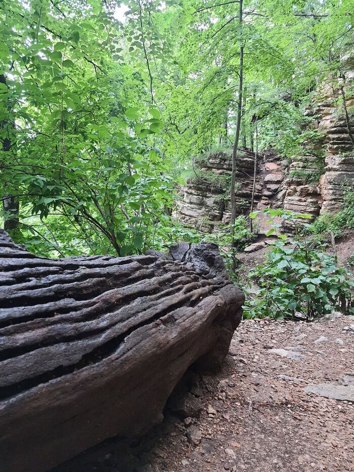 :   | <a href="https://pikabu.ru/story/khotite_stat_ptitsey_11962871?u=https%3A%2F%2Fvk.com%2Fs.tretyakova1976&t=%D0%92%D0%9A%D0%BE%D0%BD%D1%82%D0%B0%D0%BA%D1%82%D0%B5%20%28vk.com%29&h=6b02f1b67138039d269ef10aa418aa83b8a64e14" title="https://vk.com/s.tretyakova1976" target="_blank" rel="nofollow noopener"> (vk.com)</a>