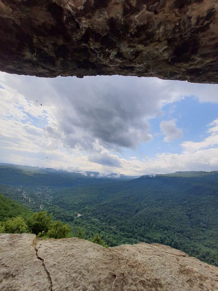  . :   | <a href="https://pikabu.ru/story/khotite_stat_ptitsey_11962871?u=https%3A%2F%2Fvk.com%2Fs.tretyakova1976&t=%D0%92%D0%9A%D0%BE%D0%BD%D1%82%D0%B0%D0%BA%D1%82%D0%B5%20%28vk.com%29&h=6b02f1b67138039d269ef10aa418aa83b8a64e14" title="https://vk.com/s.tretyakova1976" target="_blank" rel="nofollow noopener"> (vk.com)</a>