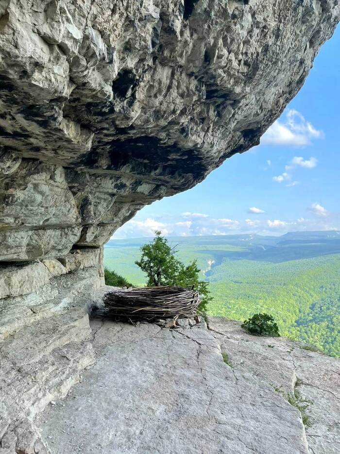  . :   | <a href="https://pikabu.ru/story/khotite_stat_ptitsey_11962871?u=https%3A%2F%2Fvk.com%2Fhappy_______woman&t=%D0%92%D0%9A%D0%BE%D0%BD%D1%82%D0%B0%D0%BA%D1%82%D0%B5%20%28vk.com%29&h=1fe2c2351adec49138260d0f5f39efa9bd304336" title="https://vk.com/happy_______woman" target="_blank" rel="nofollow noopener"> (vk.com)</a>