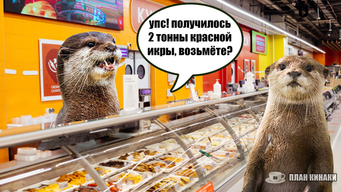        , , ,   ,   , ,  , ,  , ,  