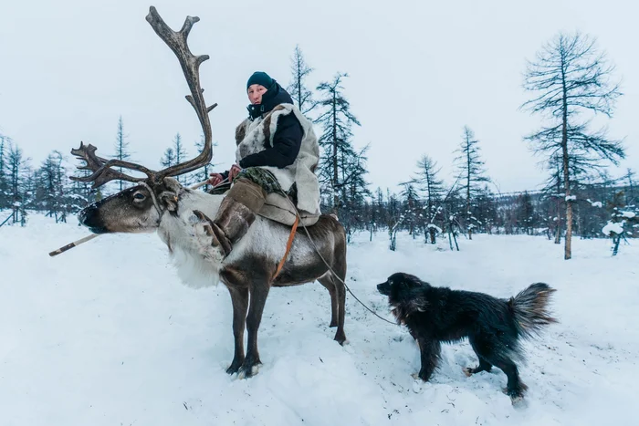 Riding a deer - My, Дальний Восток, Travel across Russia, Travels, Nature, The nature of Russia, North, Deer, Yakutia