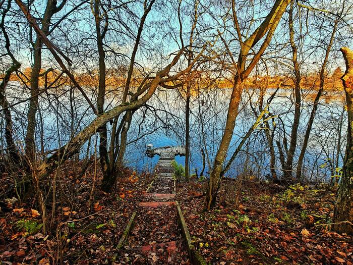 A place for secluded fishing - My, The photo, Landscape, Travels, Mobile photography, Autumn, Lake, Nature, Leningrad region