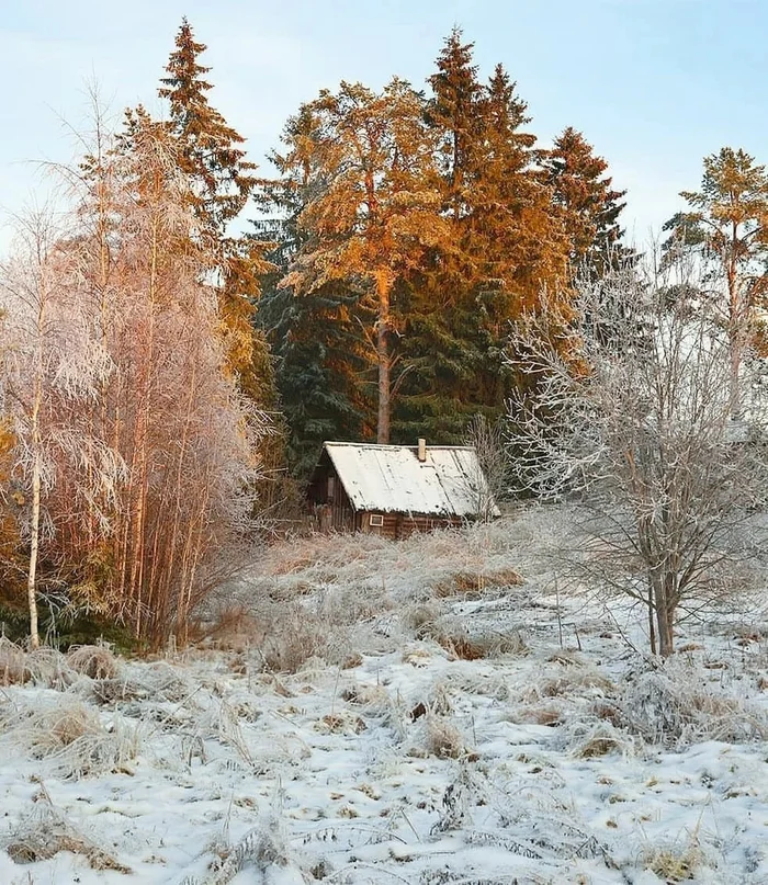 У леса на опушке жила зима в избушке, Ленинградская область - Фотография, Осень, Снег, Изба, Природа, Ленинградская область