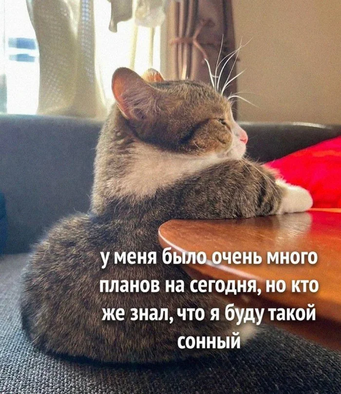 Жиза - Мемы, Юмор