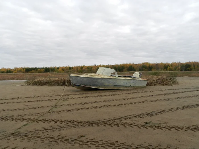 Рыбинское водохранилище. Прогулки по дну - Моё, Фотография, Вертикальное видео, Рыбинское водохранилище, Уровень воды, Обмеление, Остров, Прогулка, Церковь, Храм, Дно, Пешие прогулки, Яхта, Яхтинг, Видео, Длиннопост