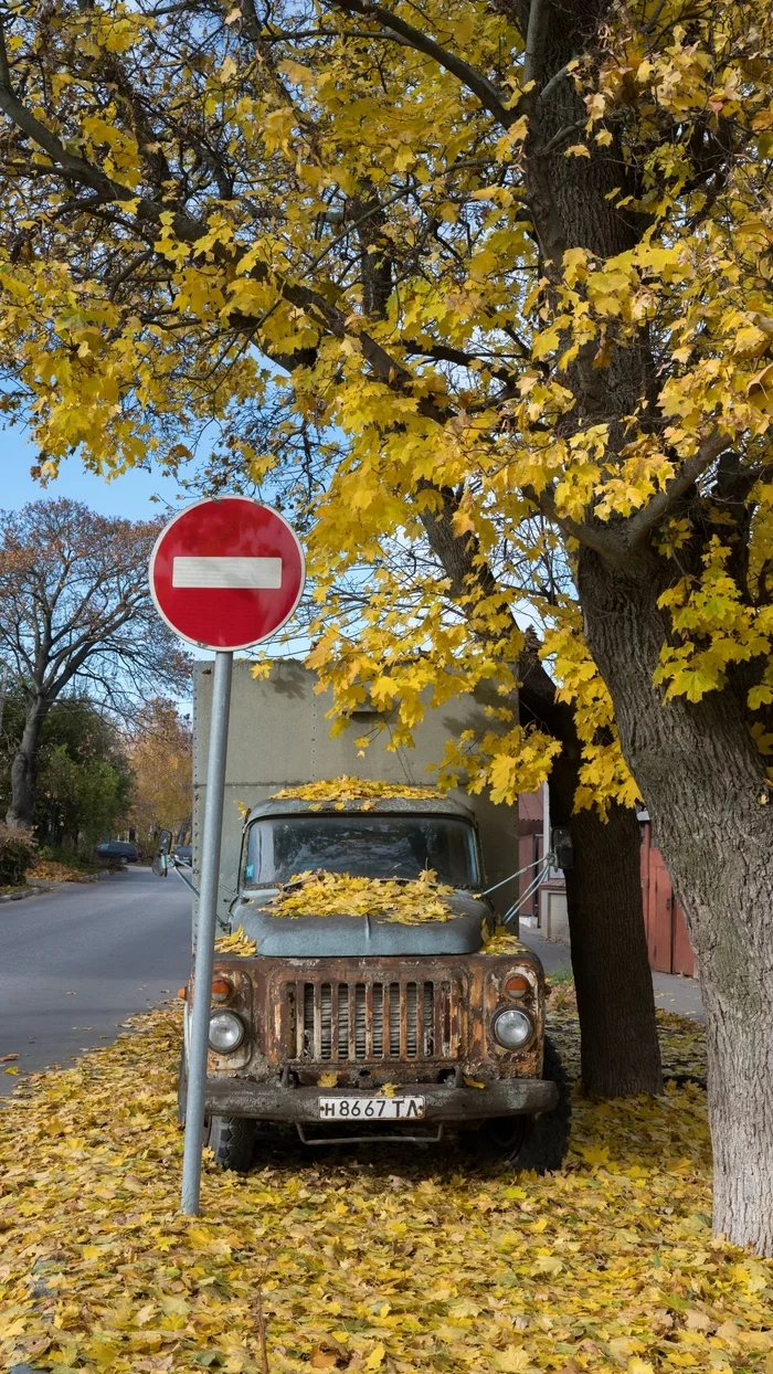 Autumn, Tula - My, Tula, The photo, Autumn