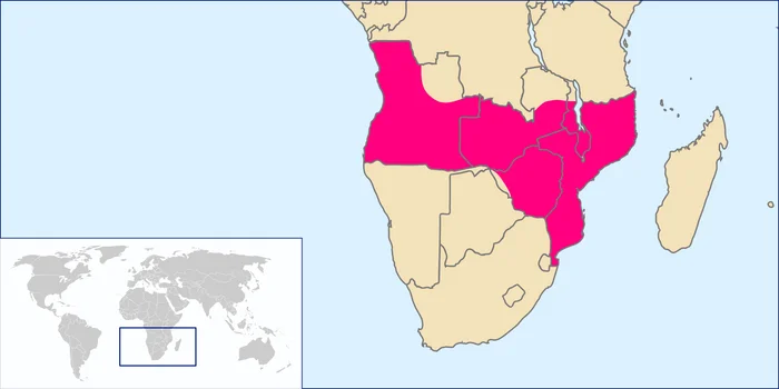 Intelligent Dictatorship, or Portugal in the 20th Century - My, History (science), Politics, Europe, Portugal, Dictatorship, Authoritarianism, Salazar, Colonialism, Africa, Imperial ambitions, Poverty, Longpost