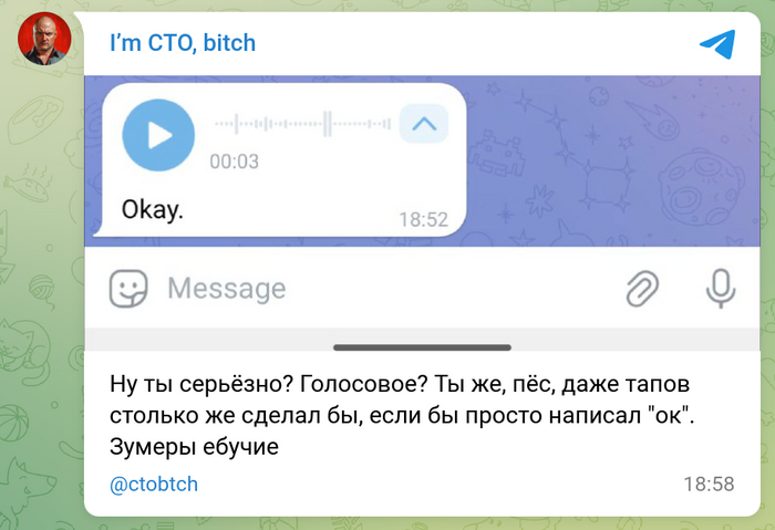  I`m CTO bitch, IT , ,  , , , 