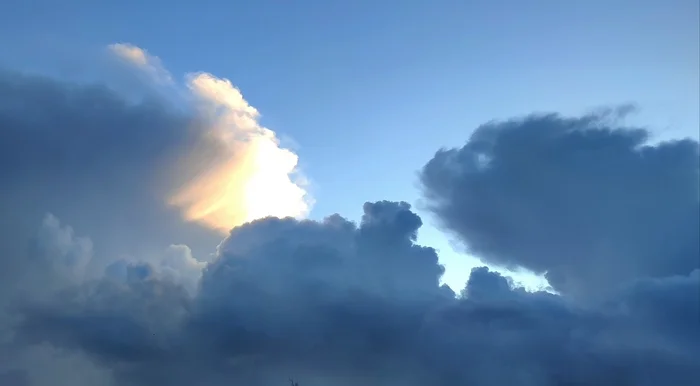 There's a cat on the right, right?????? - My, The photo, Emotions, It seemed, cat, Sky, Clouds