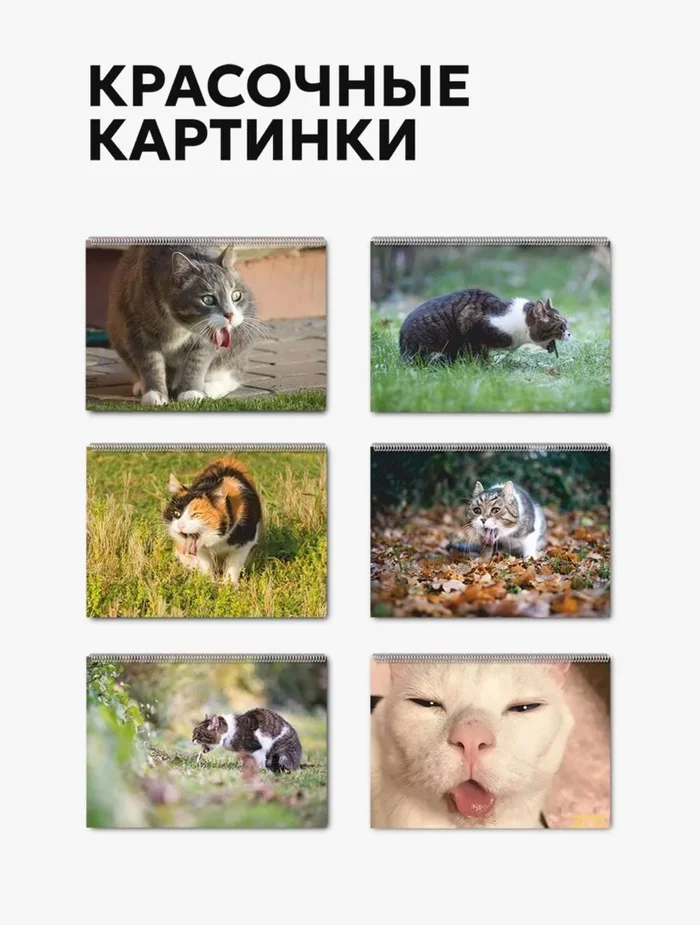 Vomiting cats - Creative, The gods of marketing, Screenshot, Picture with text, Humor, cat, Longpost