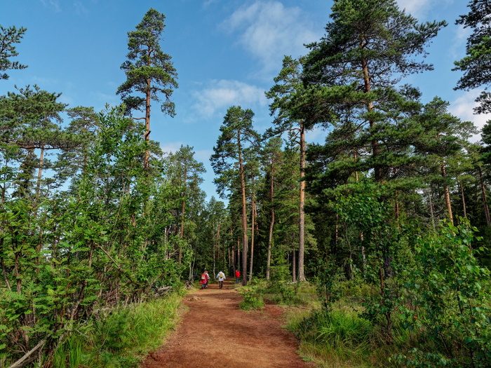 (<a href="https://pikabu.ru/story/valaam_11968925?u=https%3A%2F%2Fcommons.wikimedia.org%2Fwiki%2FFile%3AValaam_P7170209_2475.jpg&t=%D0%BF%D0%BE%D0%BB%D0%BD%D0%BE%D1%80%D0%B0%D0%B7%D0%BC%D0%B5%D1%80&h=bb28638c8bd9c193613c703023ac5ea421732d85" title="https://commons.wikimedia.org/wiki/File:Valaam_P7170209_2475.jpg" target="_blank" rel="nofollow noopener">полноразмер</a>)