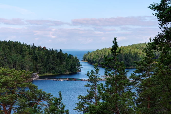 (<a href="https://pikabu.ru/story/valaam_11968925?u=https%3A%2F%2Fcommons.wikimedia.org%2Fwiki%2FFile%3AValaam._Lake_Ladoga_P7170205_2200.jpg&t=%D0%BF%D0%BE%D0%BB%D0%BD%D0%BE%D1%80%D0%B0%D0%B7%D0%BC%D0%B5%D1%80&h=a2a319f9437196b1e105017c117034825becbc05" title="https://commons.wikimedia.org/wiki/File:Valaam._Lake_Ladoga_P7170205_2200.jpg" target="_blank" rel="nofollow noopener">полноразмер</a>)