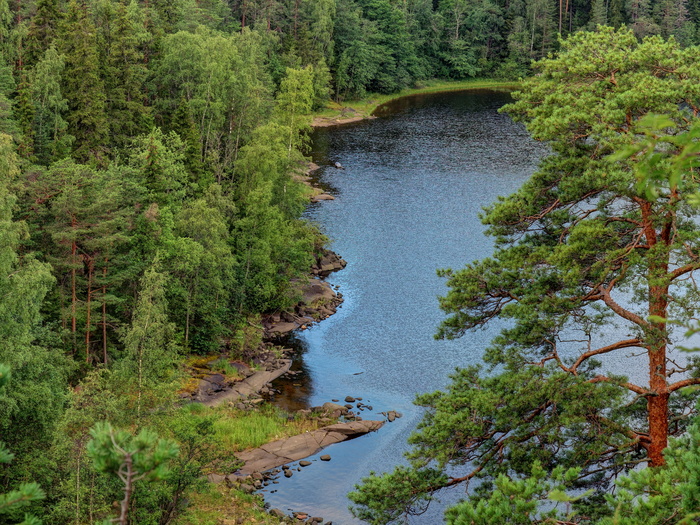 (<a href="https://pikabu.ru/story/valaam_11968925?u=https%3A%2F%2Fcommons.wikimedia.org%2Fwiki%2FFile%3AValaam._Lake_Ladoga_P7170191_2475.jpg&t=%D0%BF%D0%BE%D0%BB%D0%BD%D0%BE%D1%80%D0%B0%D0%B7%D0%BC%D0%B5%D1%80&h=d7d423cf81ae162a86d2965ed11194aac3c31133" title="https://commons.wikimedia.org/wiki/File:Valaam._Lake_Ladoga_P7170191_2475.jpg" target="_blank" rel="nofollow noopener">полноразмер</a>)