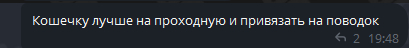 Очередной больной кот выкинутый в подъезд. Неадекватные жители ЖК - Кот, В добрые руки, Бездомные животные, Спасение животных, Ветеринария, Лига Добра, Негатив, Передержка, Приют, Потеряшка, Волонтерство, Видео, Вертикальное видео, Длиннопост