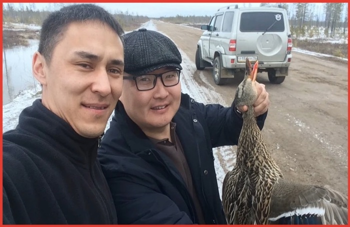 Хватается уткой...