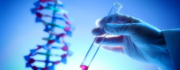 Ответ на пост «Ответ на пост "Опять цыгане"»