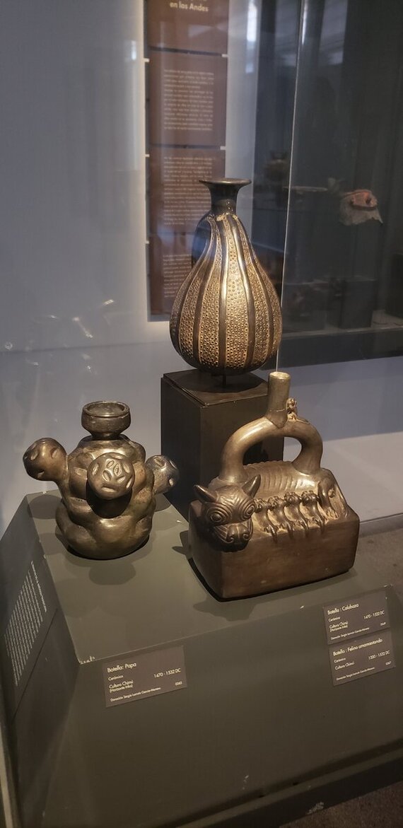 Museum of Pre-Columbian Art - My, Travels, A bike, South America, Bike trip, Solo travel, Santiago, Chile, Bike ride, Cyclist, Mountain tourism, Cycling, Andes, Longpost