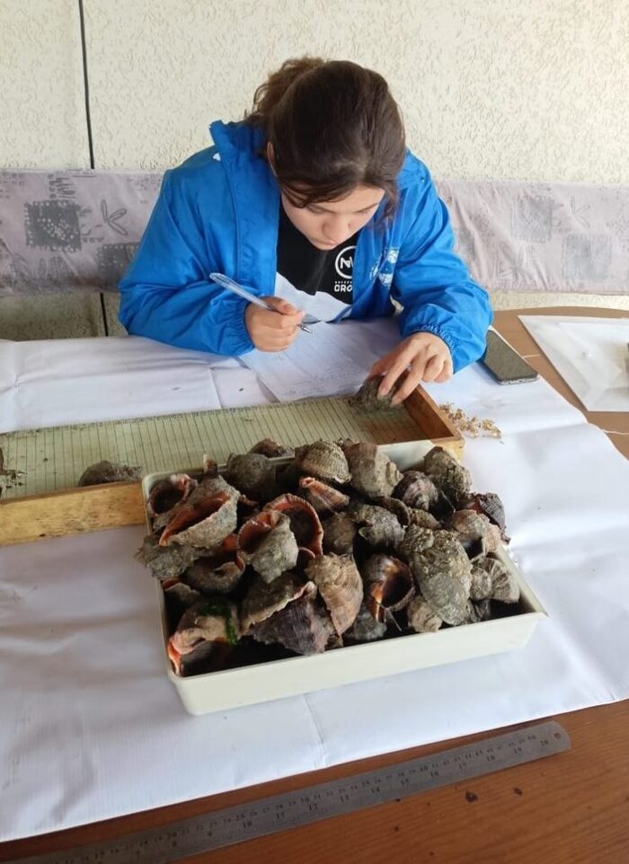         . : <!--noindex--><a href="https://pikabu.ru/story/izza_rosta_solenosti_vodyi_rapana_stanovitsya_promyislovyim_vidom_dazhe_v_severnoe_priazove_11966087?u=http%3A%2F%2Fazniirkh.vniro.ru&t=azniirkh.vniro.ru&h=8c7d7359814b4cd5760aefbd59122cf9d008ce27" title="http://azniirkh.vniro.ru" target="_blank" rel="nofollow noopener">azniirkh.vniro.ru</a><!--/noindex-->