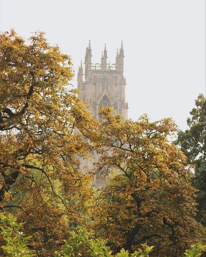 The ancient city of York in the embrace of fog - Telegram (link), Images, Town, Longpost, Architecture, The photo