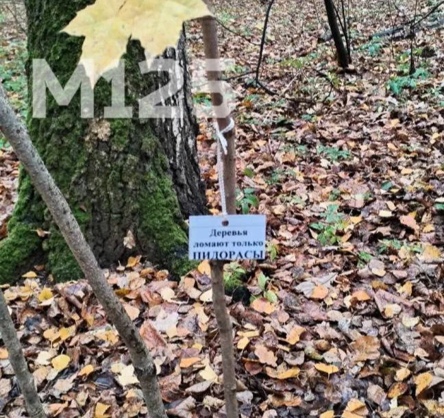 Даже если один раз - Моё, Москва, Юмор, Московская область, Фотография, Дерево, Зеленые деревья, Рубка деревьев, Ломать, Надоело, Бесит, Кусты, Растения, Ландшафтный дизайн, Лесопарк, Парк, Благоустройство, Урбанизм, Природа, Мат