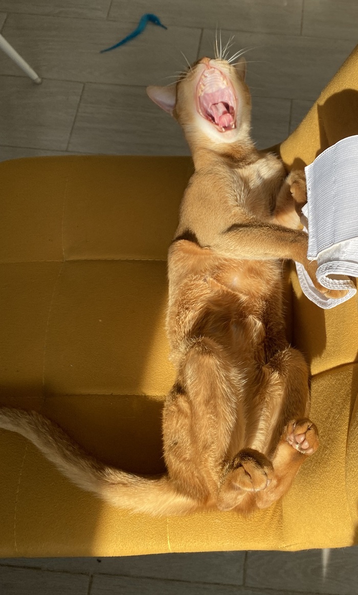 Чтоб веселее было, ну а чо