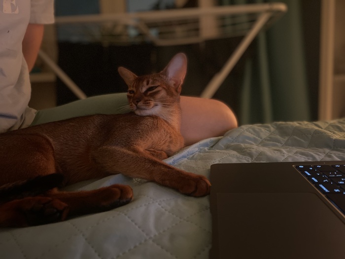 Ну а пока - отдыхаем