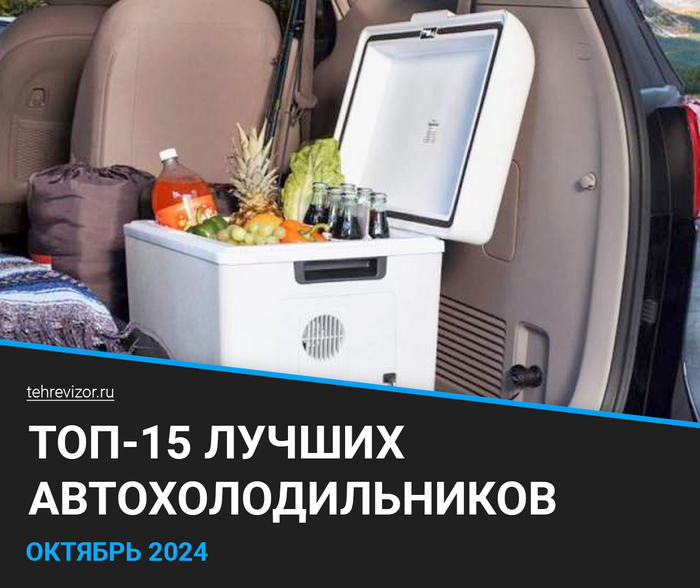   2024 :  15,     , , -, , 