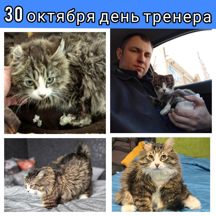       , 
