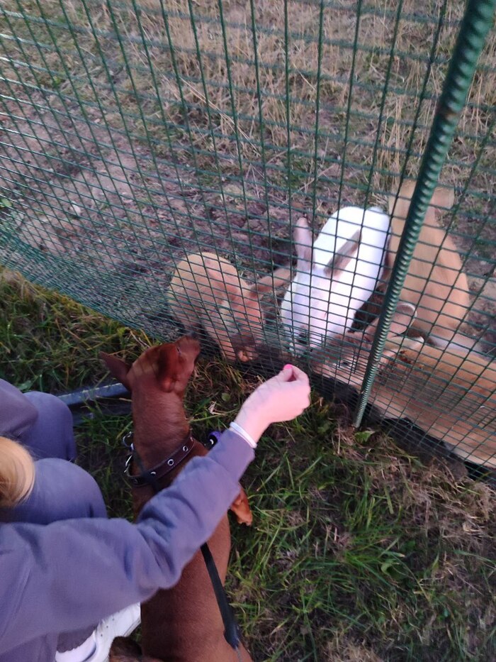      Sunset Beach -     40-50    )