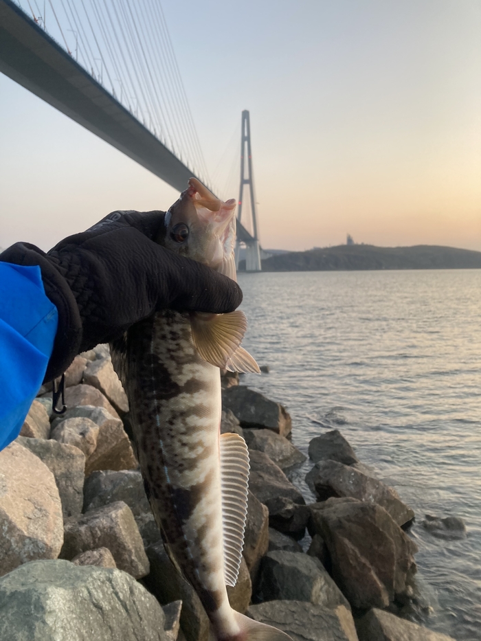 �����, ����� �������, ����� � ����������