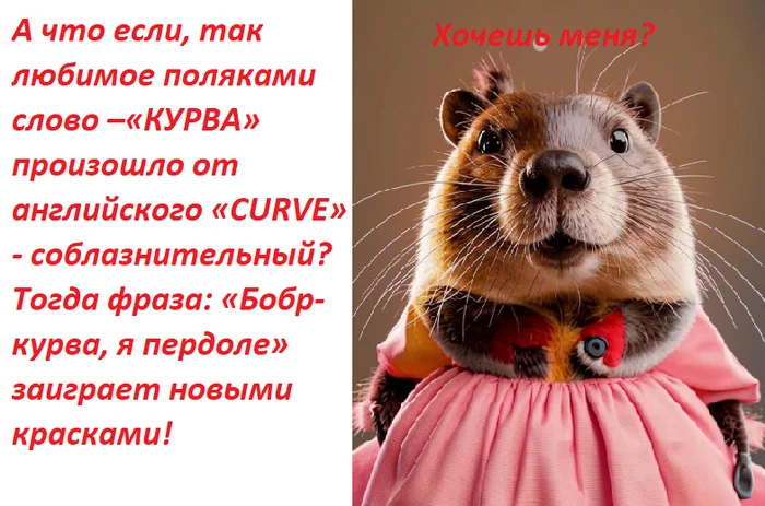 Beaver is a bitch! - My, Humor, Poles, Beavers, Curva, beaver whore, Picture with text, Images, Toilet humor, Hardened, Demotivator, Language, Translation, Lost in translation, Translated by myself