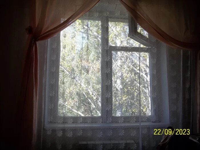 Mom's room - My, Mum, Memory, Coronavirus, The photo, Sadness, Window