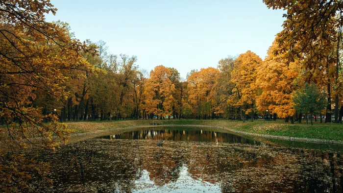 Осень в Санкт-Петербурге - Моё, Санкт-Петербург, Фотография, Уличная фотография, Пейзаж, Парк