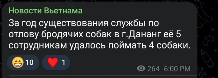 Пятый сидел без дела - Скриншот, Вьетнам, Хорошие новости