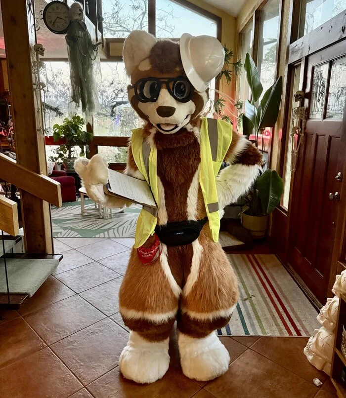 TBshnik - Furry, Fursjoot, Furry red panda, Safety engineering, Glasses, Helmet, Reflective vests