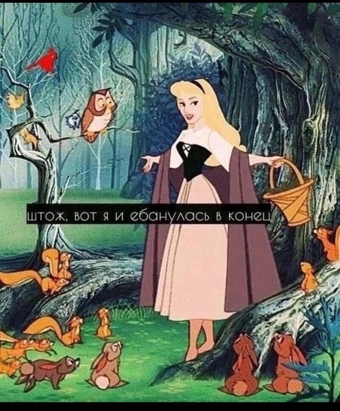     ,   , , ,  , 