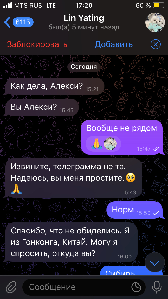 Кому кошкожену? - Моё, Юмор, Спам, Азия, Азиатка, Telegram, Скриншот, Длиннопост