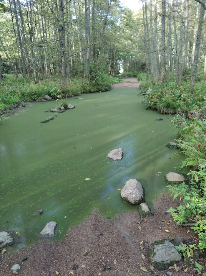 ��� ������� ���� � ������ ������� �� ������, ������ ��� �������������, ��� ��� ��������