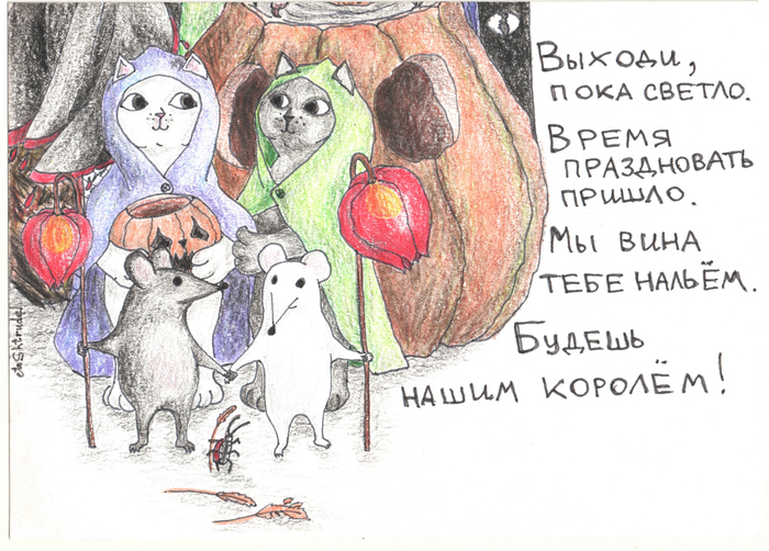   , ,  ,  , , , , , 
