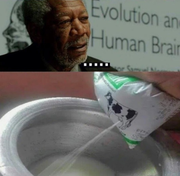 What would happen if a person used 100% of his brain - Dubious life hacks, Memes, Morgan Freeman, Stupidity, Strange humor, A selection, Longpost, Picture with text, Hardened