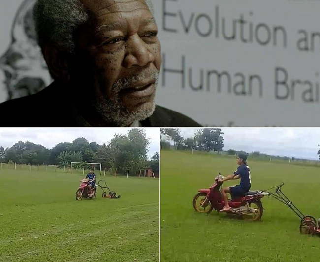 What would happen if a person used 100% of his brain - Dubious life hacks, Memes, Morgan Freeman, Stupidity, Strange humor, A selection, Longpost, Picture with text, Hardened