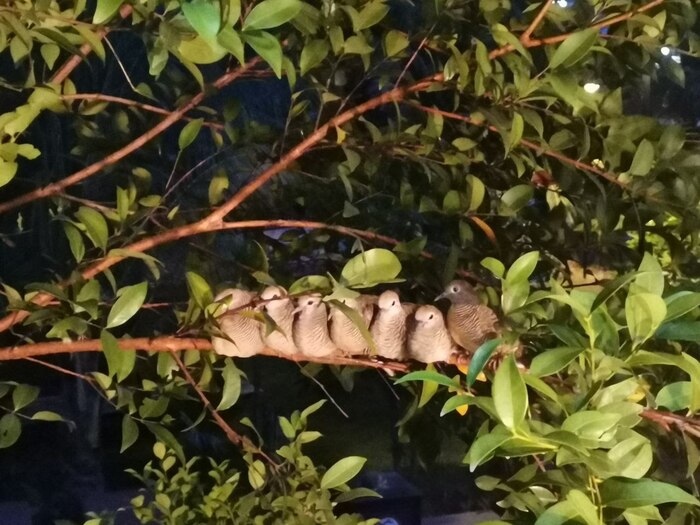 И она к тебе не раз ещё вернётся!