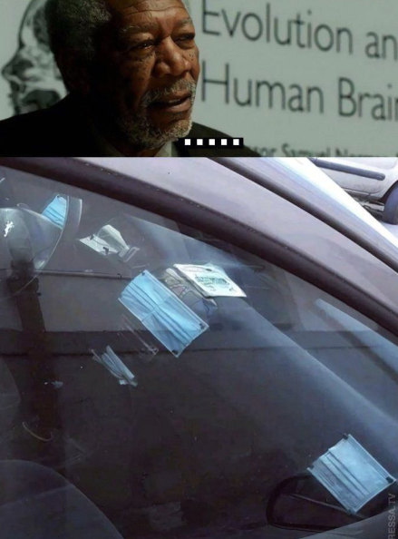 What would happen if a person used 100% of his brain - Dubious life hacks, Memes, Morgan Freeman, Stupidity, Strange humor, A selection, Longpost, Picture with text, Hardened